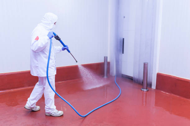 Best Patio and Deck Pressure Washing  in Gunter, TX