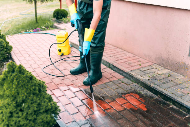 Best Building Exterior Washing  in Gunter, TX