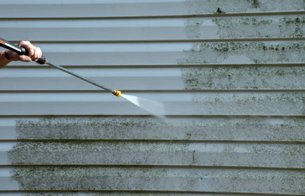 Best Gutter Cleaning  in Gunter, TX